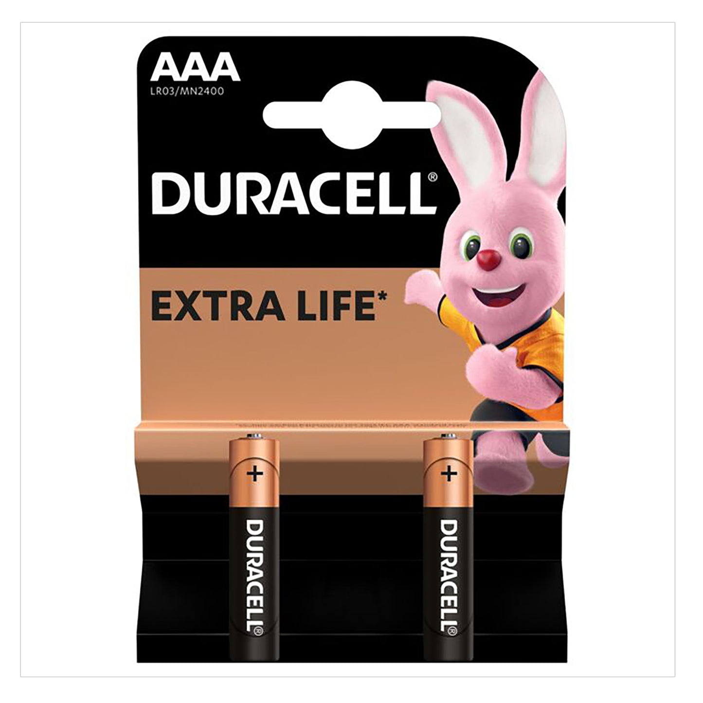 DCL-AAA-2 - щелочная батарейка Duracell AAA, аналоги: LR03, MN2400 (2 шт. в блистере)